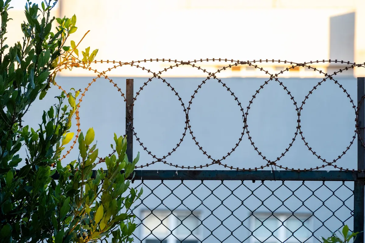 Barbed wire fence with green leaves and warm sunlight breaking through